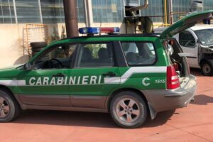 Controlli a Pomigliano, sequestrati cento chili di alimenti senza alcuna tracciabilità