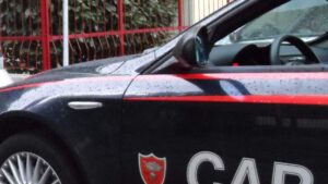 L’oro rosso e l’emergenza furti. Carabinieri arrestano 43enne nel Napoletano